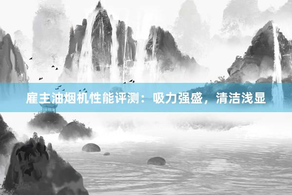 雇主油烟机性能评测：吸力强盛，清洁浅显